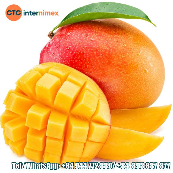 Vietnamese Mangoes: Tropical Sweetness Conquers Global Markets